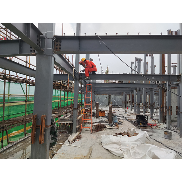 Residential Steel Structure